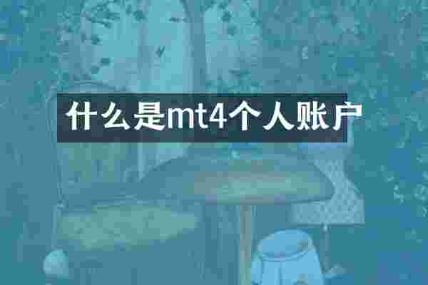 什么是mt4个人账户