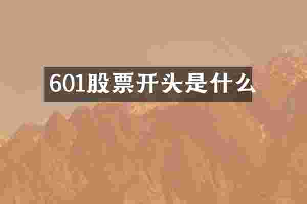 601股票开头是什么