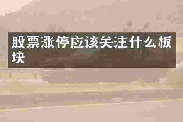 股票涨停应该关注什么板块