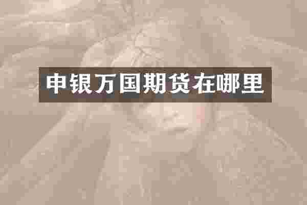 申银万国期货在哪里
