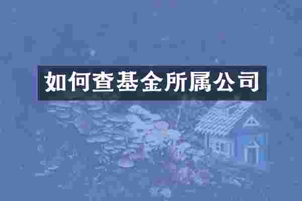 如何查基金所属公司