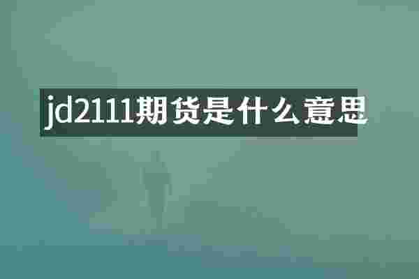 jd2111期货是什么意思