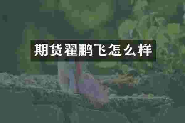 期货翟鹏飞怎么样