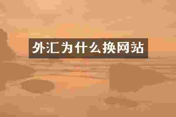 外汇为什么换网站