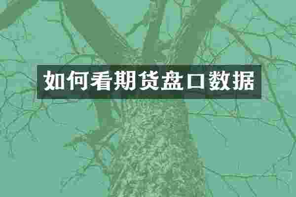 如何看期货盘口数据