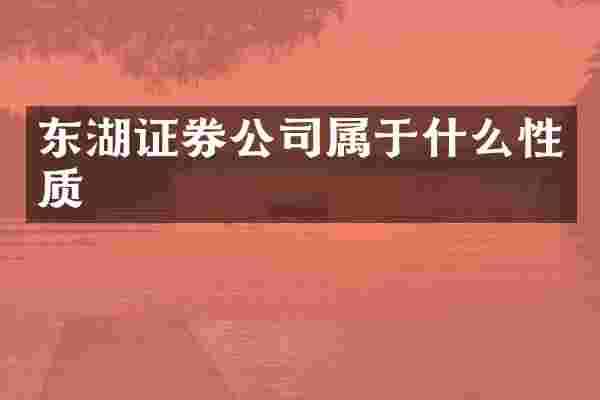 东湖证券公司属于什么性质