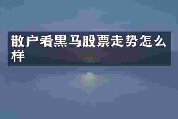 散户看黑马股票走势怎么样