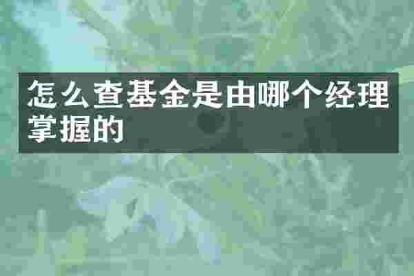 怎么查基金是由哪个经理掌握的