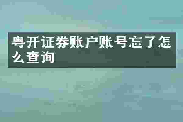 粤开证券账户账号忘了怎么查询