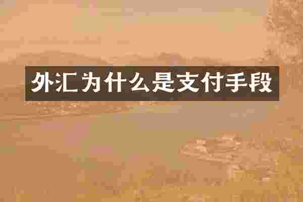 外汇为什么是支付手段