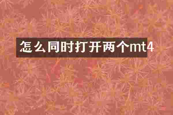 怎么同时打开两个mt4