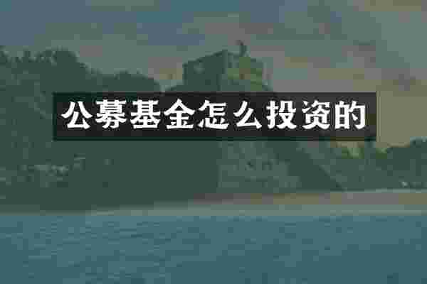 公募基金怎么投资的