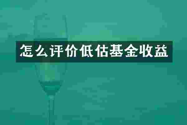 怎么评价低估基金收益