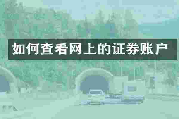 如何查看网上的证券账户