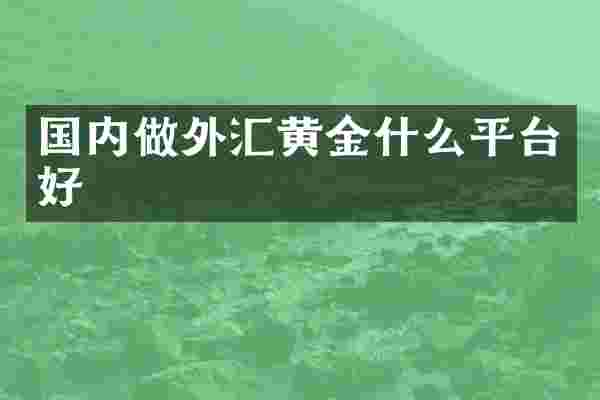 国内做外汇黄金什么平台好