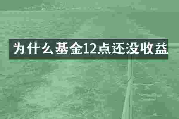 为什么基金12点还没收益