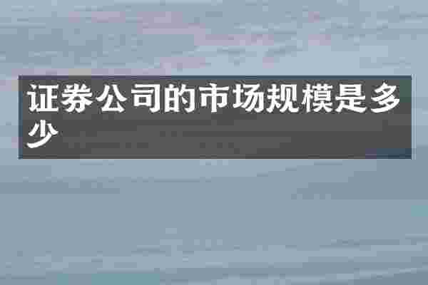 证券公司的市场规模是多少
