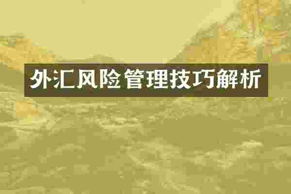 外汇风险管理技巧解析