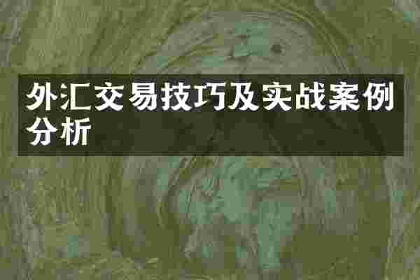 外汇交易技巧及实战案例分析