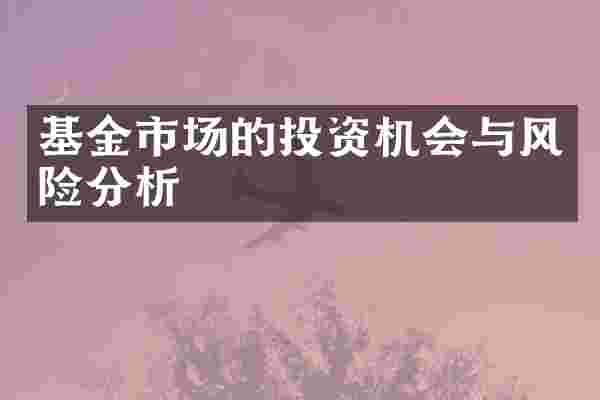 基金市场的投资机会与风险分析