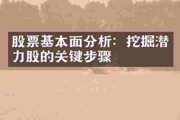 股票基本面分析：挖掘潜力股的关键步骤