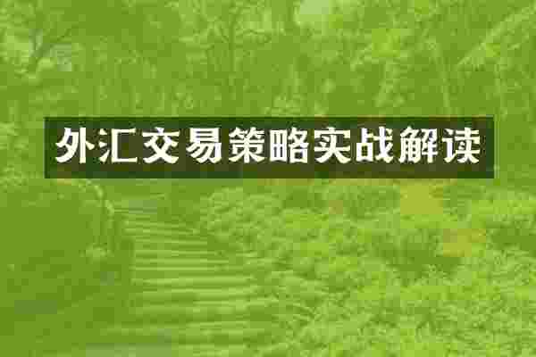 外汇交易策略实战解读