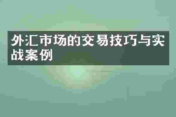 外汇市场的交易技巧与实战案例