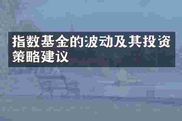 指数基金的波动及其投资策略建议