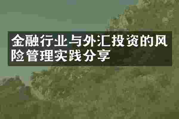 金融行业与外汇投资的风险管理实践分享