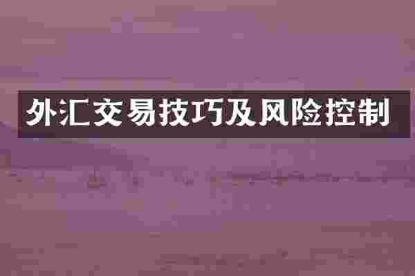 外汇交易技巧及风险控制