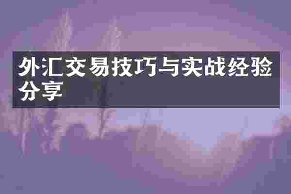 外汇交易技巧与实战经验分享