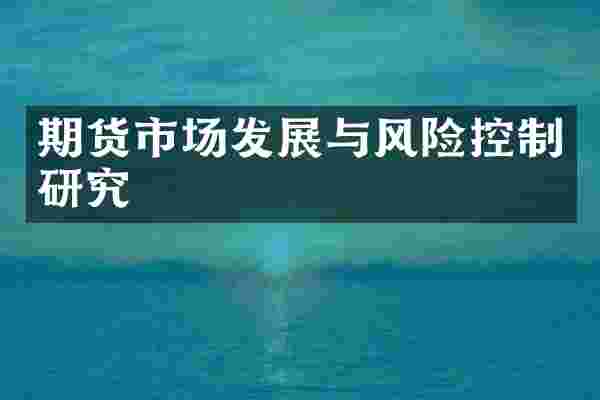 期货市场发展与风险控制研究