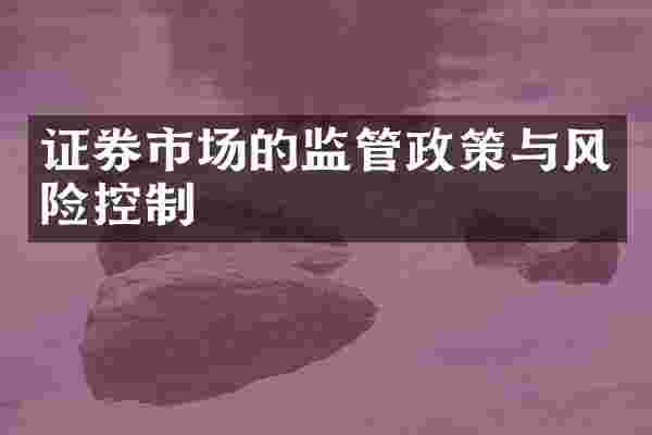 证券市场的监管政策与风险控制