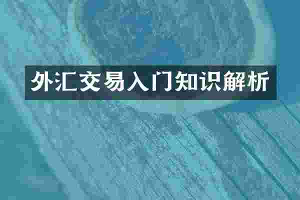外汇交易入门知识解析