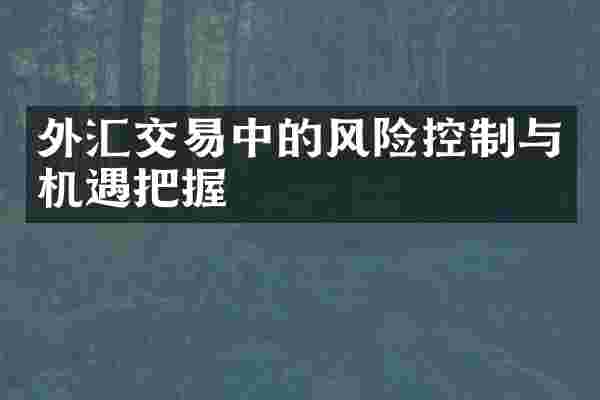 外汇交易中的风险控制与机遇把握