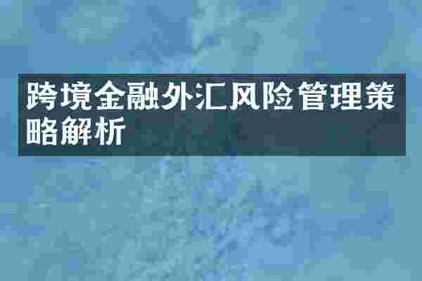 跨境金融外汇风险管理策略解析