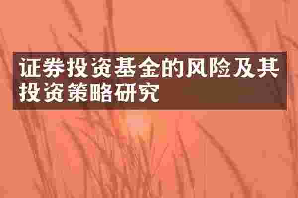 证券投资基金的风险及其投资策略研究