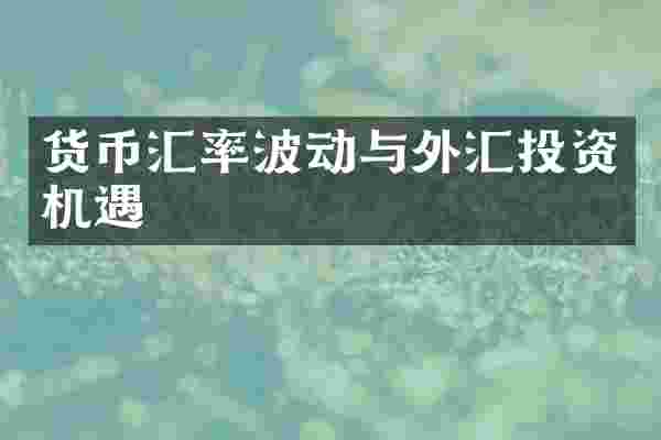 货币汇率波动与外汇投资机遇