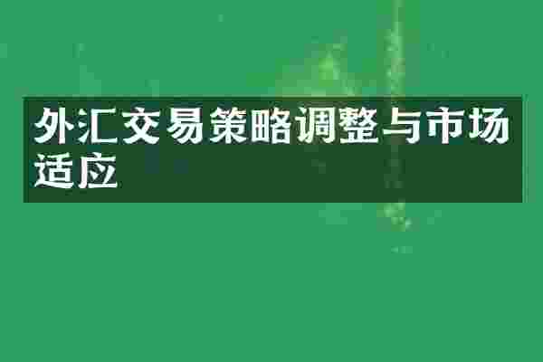 外汇交易策略调整与市场适应