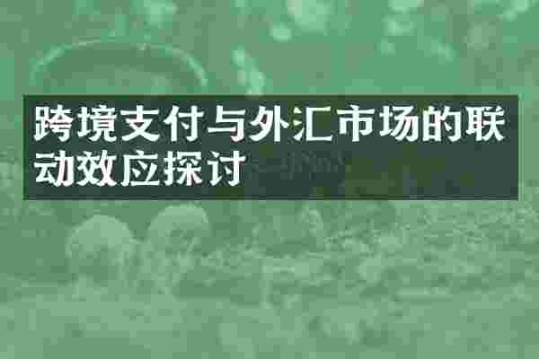 跨境支付与外汇市场的联动效应探讨