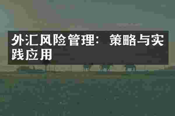 外汇风险管理：策略与实践应用