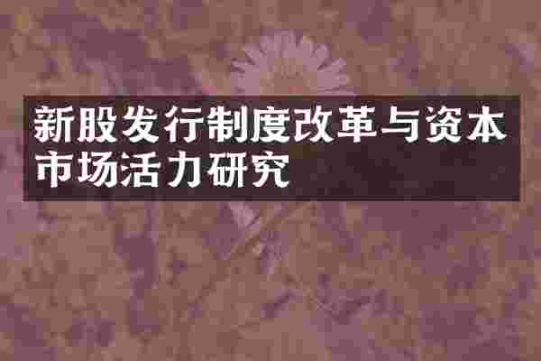 新股发行制度改革与资本市场活力研究