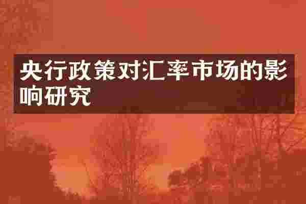 央行政策对汇率市场的影响研究