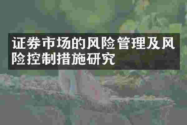 证券市场的风险管理及风险控制措施研究
