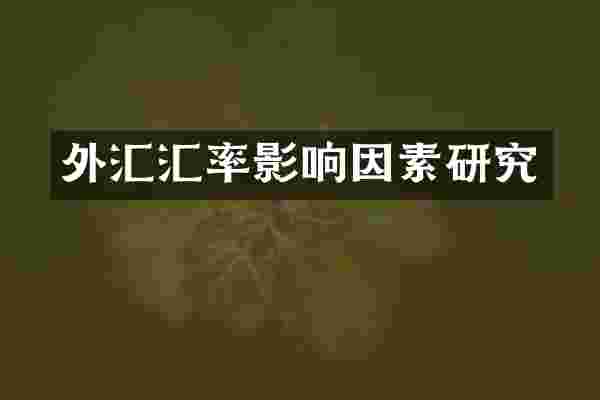 外汇汇率影响因素研究
