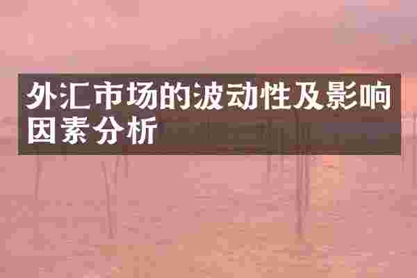外汇市场的波动性及影响因素分析