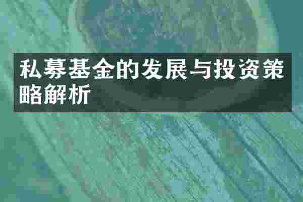 私募基金的发展与投资策略解析