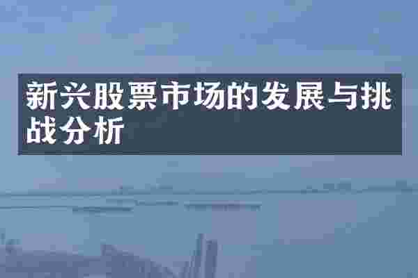 新兴股票市场的发展与挑战分析