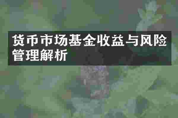 货币市场基金收益与风险管理解析