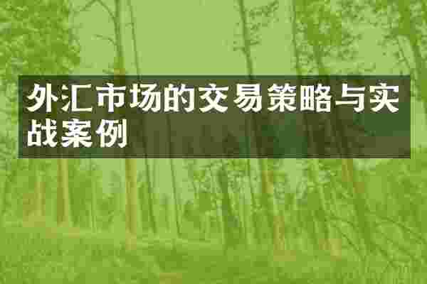 外汇市场的交易策略与实战案例